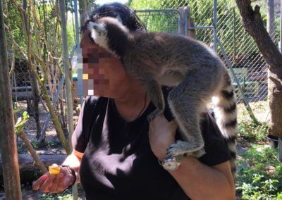 Photo d'une personne avec un lémurien