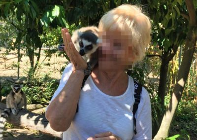 Lémurien sur l'epaule d'une personne